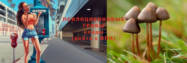 каннабис Зерноград