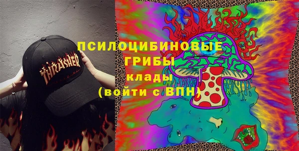 дурь Богородицк