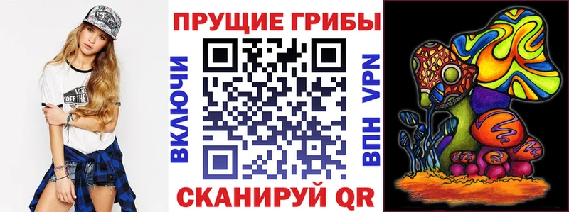 Псилоцибиновые грибы Psilocybe  Верхний Уфалей 